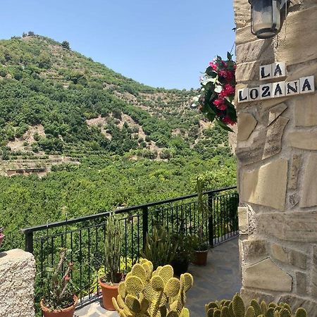La Lozana - Rio Verde Хете Экстерьер фото